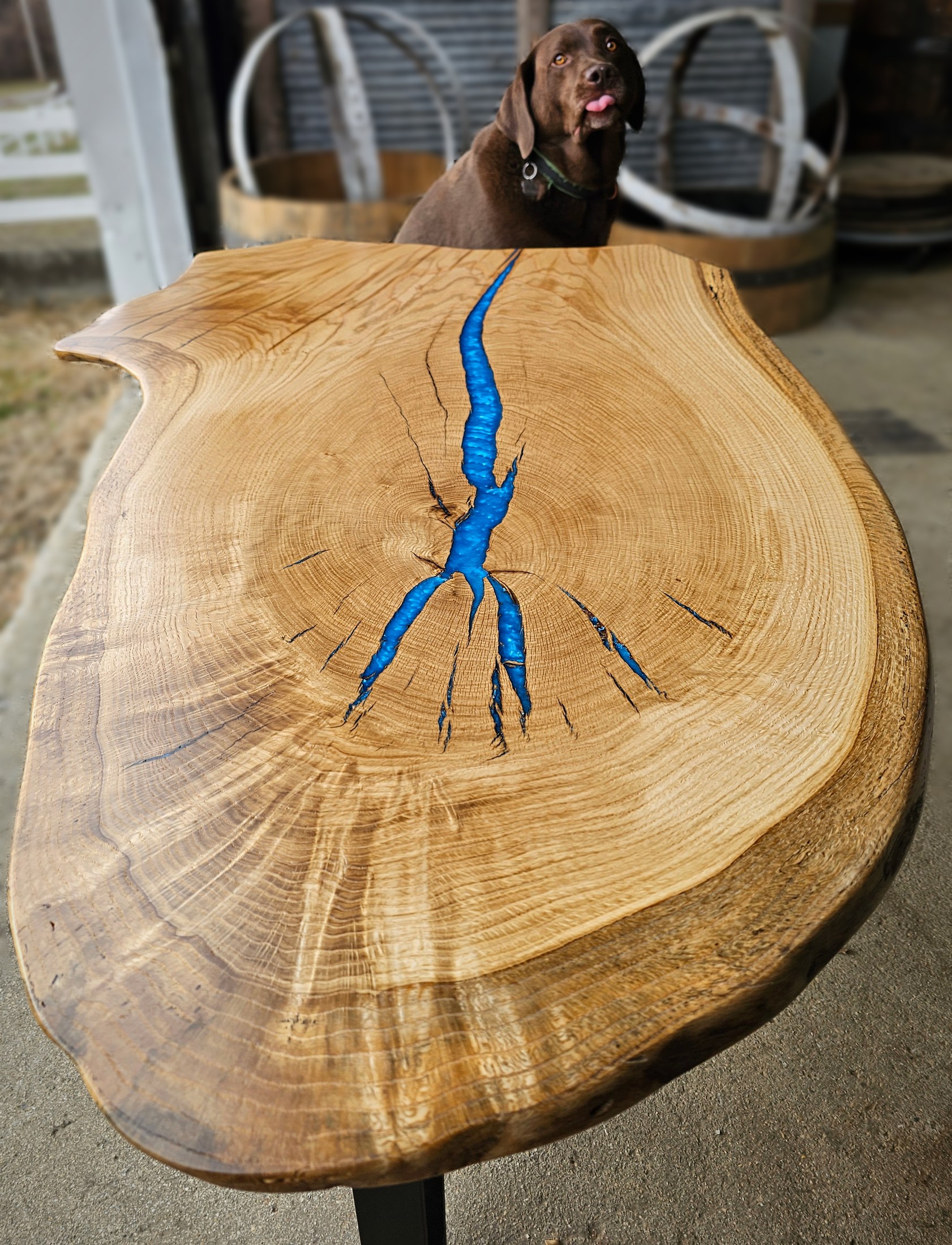 View along the finished live-edge tabletop with a blue branching detail through its center.