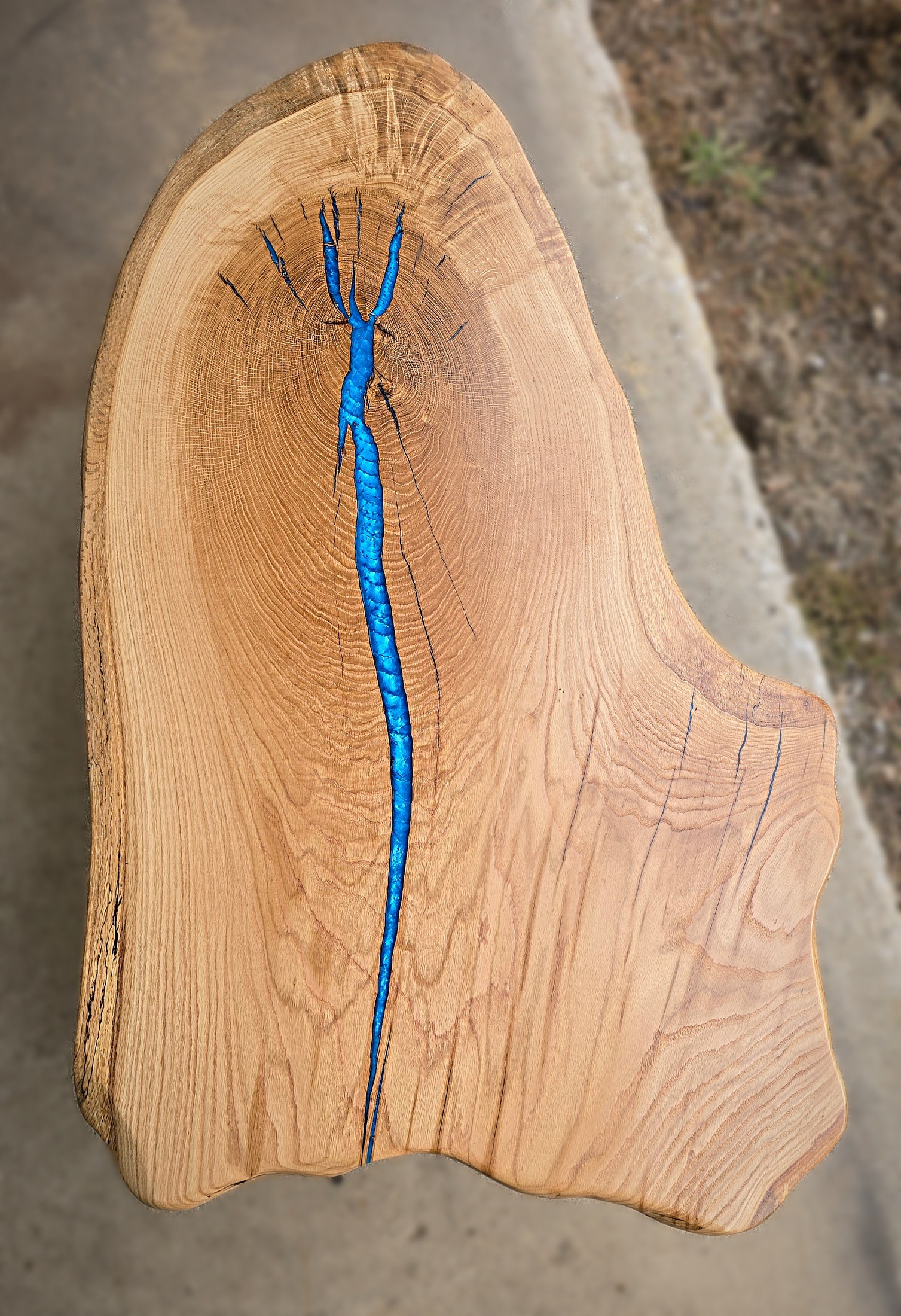 Overhead view of an irregular wood slab with a narrow branching blue-filled channel.